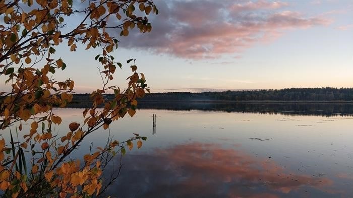 Випассана «Погружение в тишину» в Санкт-Петербурге 2024 &lt; Span&gt; Проживание в 2-х, 3-х, 4-х, 5-ти и одноместных VIP-номерах