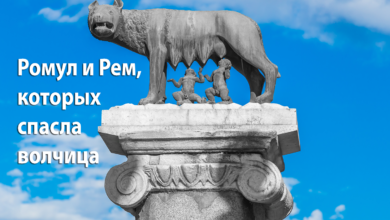 Photo of Значимость академической свободы