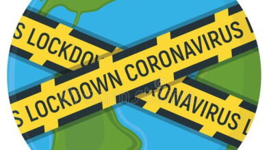 Photo of Тенденции развития университетов